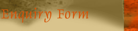 Enquiry Form